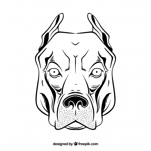 626x626 Download Vector