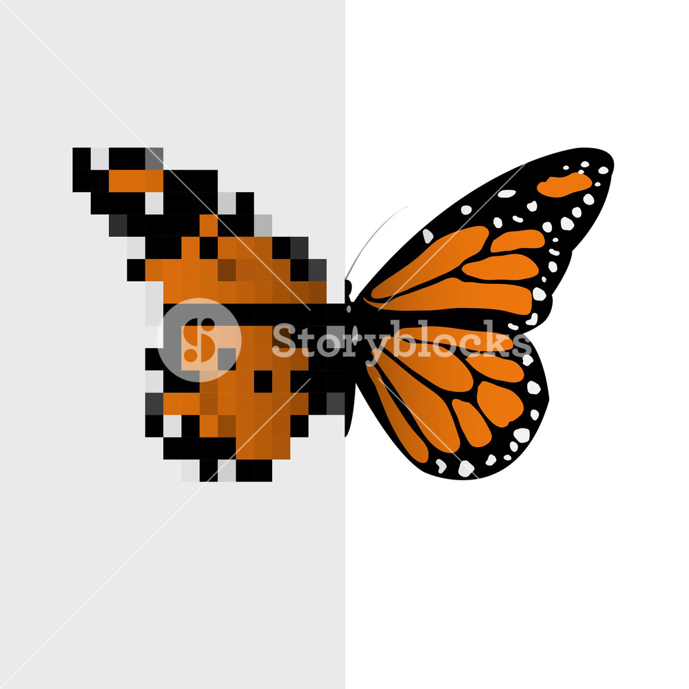 1000x1000 Vector Pixel Art Butterfly Royalty Free Stock Image