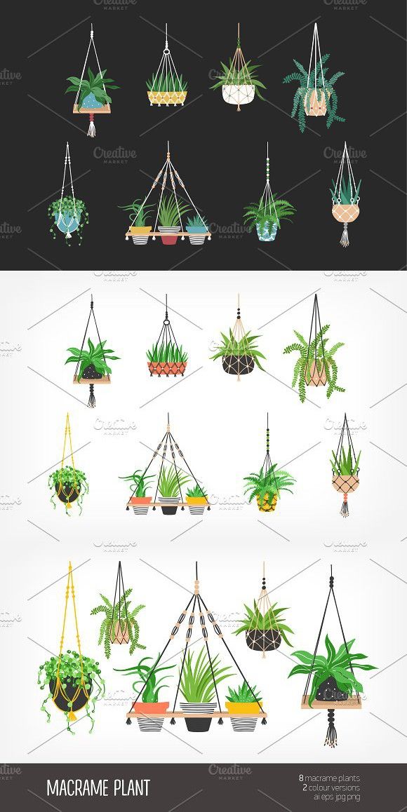580x1158 Macrame Hangers For Plants Decor Graphic Design