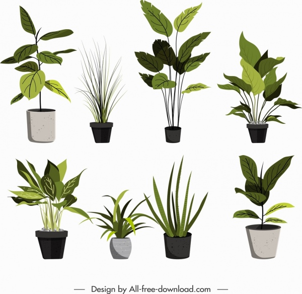 vector plants illustrator free download