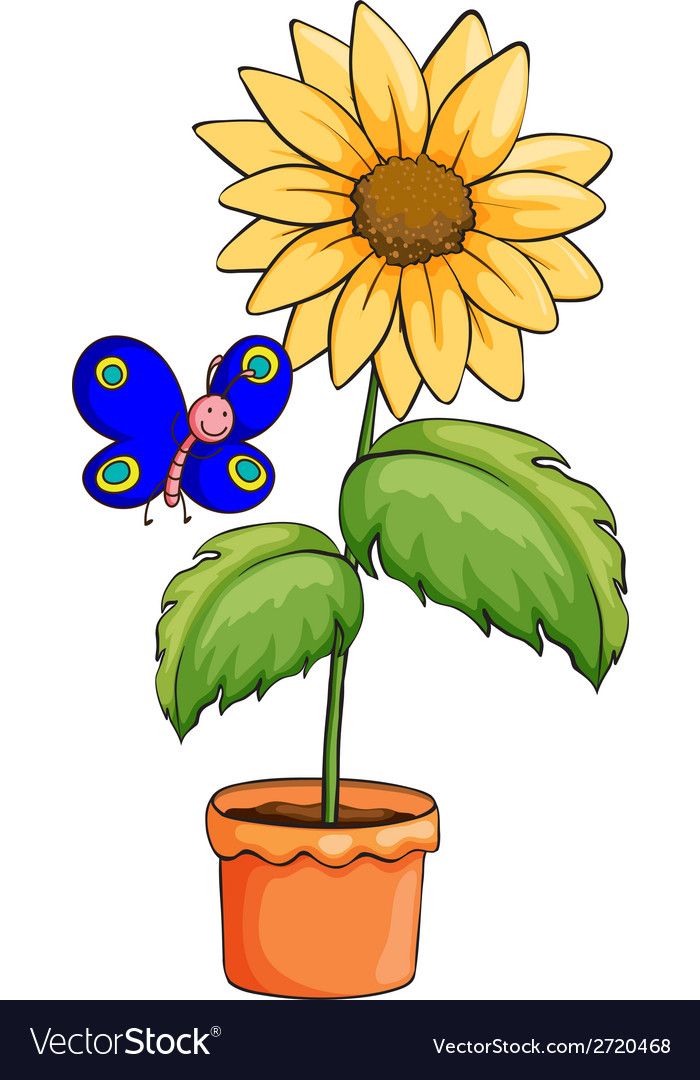 700x1080 Clip Plant Vector, Plants, Planting Sunflowers