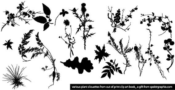 568x294 Plant Silhouettes Vector Free Vector In Adobe Illustrator