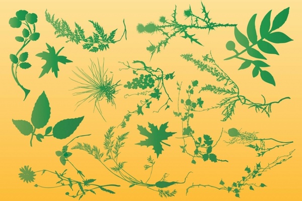 600x400 Plants Vector Graphics Free Vector In Adobe Illustrator