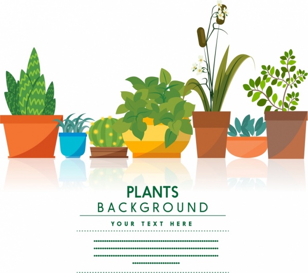 600x532 Plants Background Colored Trees In Vases Ornament Free Vector