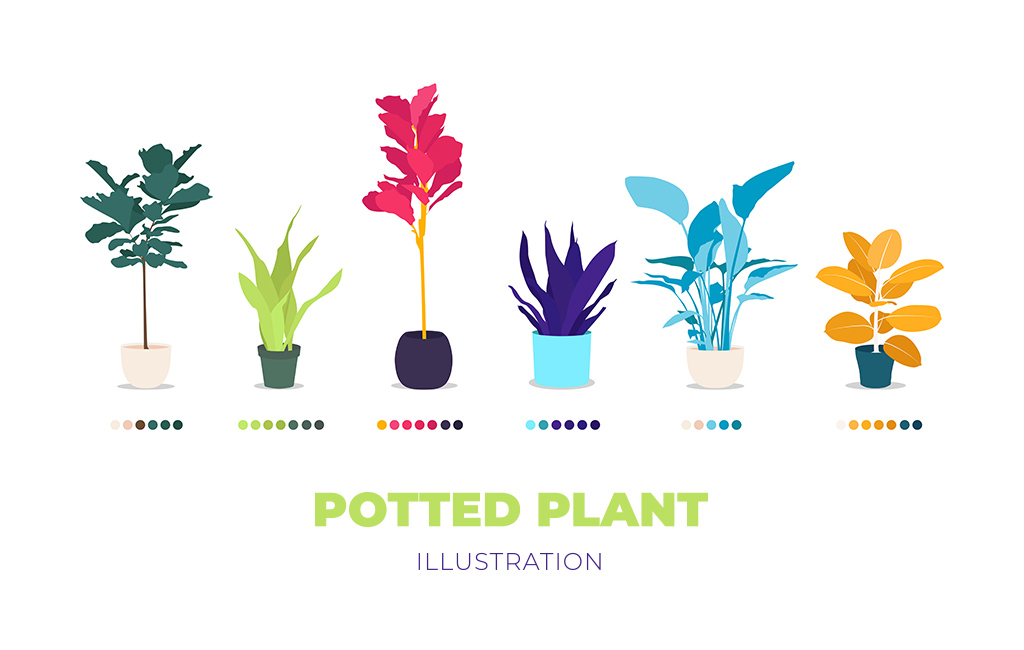 1024x650 Potted Plant Illustration