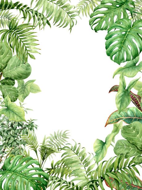 460x612 Watercolor Green Background With Tropical Plants Vector Art