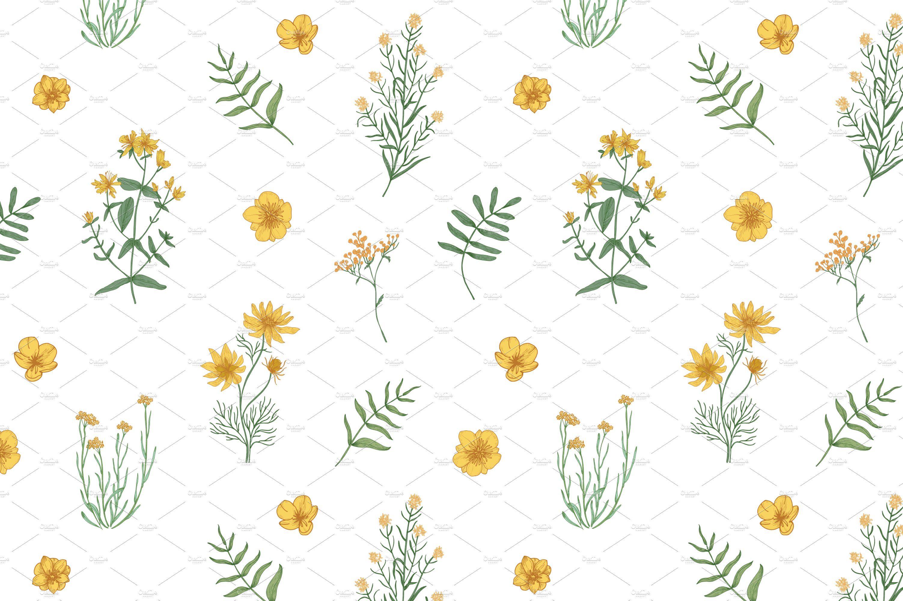 3005x2000 Wild Flowers,herbs,herbaceous Plants