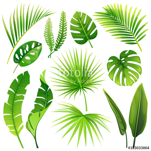Vector Plants Illustrator at Vectorified.com | Collection of Vector ...
