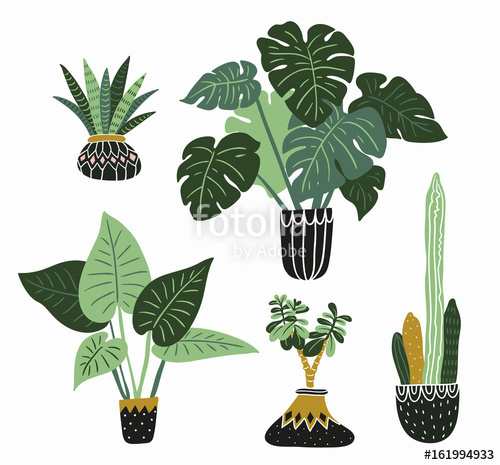 500x465 Hand Drawn Tropical House Plants Scandinavian Style Illustration