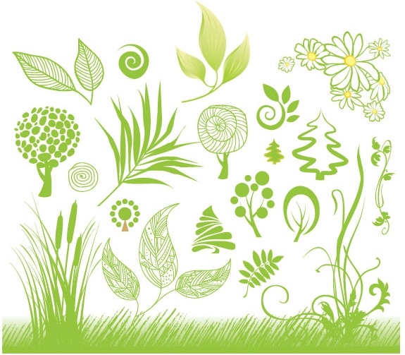 575x503 Handpainted Plant Vector Free Vector In Adobe Illustrator