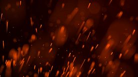 275x154 Plexus Photos And Images