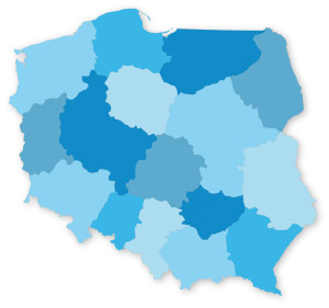 300x281 Blue Vector Map Of Poland With Voivodeships Blue Ocean