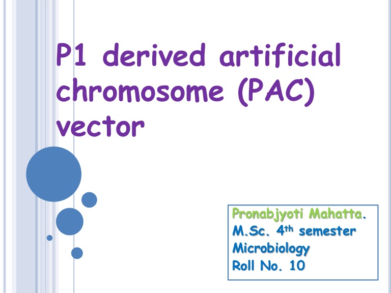 768x576 Pac Vector Ppt