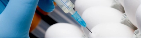 480x131 Viral Vector Cdmo Vibalogics Latest Private Equity Target