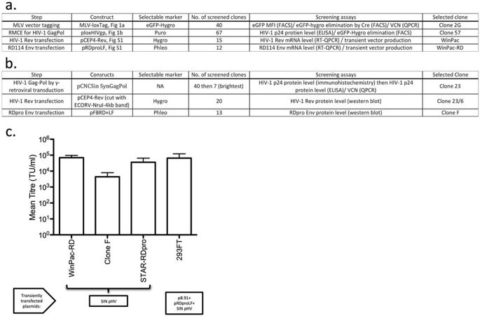 685x451 Construction Of Stable Packaging Cell Lines For Clinical