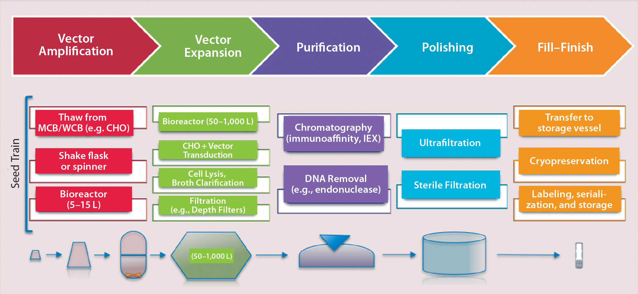 2075x958 Emerging Platform Bioprocesses For Viral Vectors And Gene