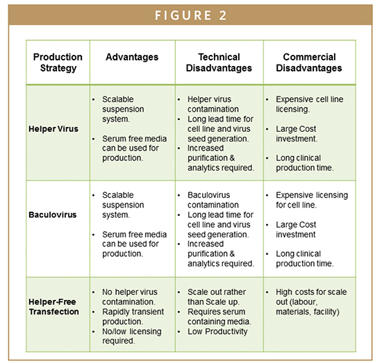 550x523 Aav Vector Manufacturing