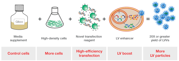 720x246 Lentiviral Vector Production Thermo Fisher Scientific