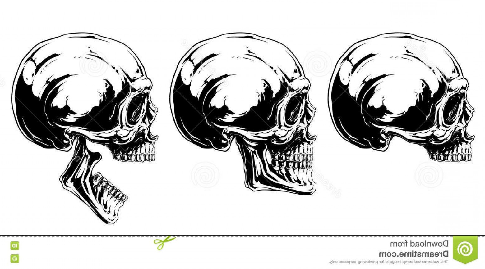 1560x867 Profile Skull With Bandana Vector Wallkeeper