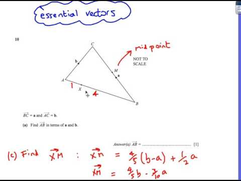 480x360 Vectors Igcse Maths Extended Cambridge Past Paper Questions