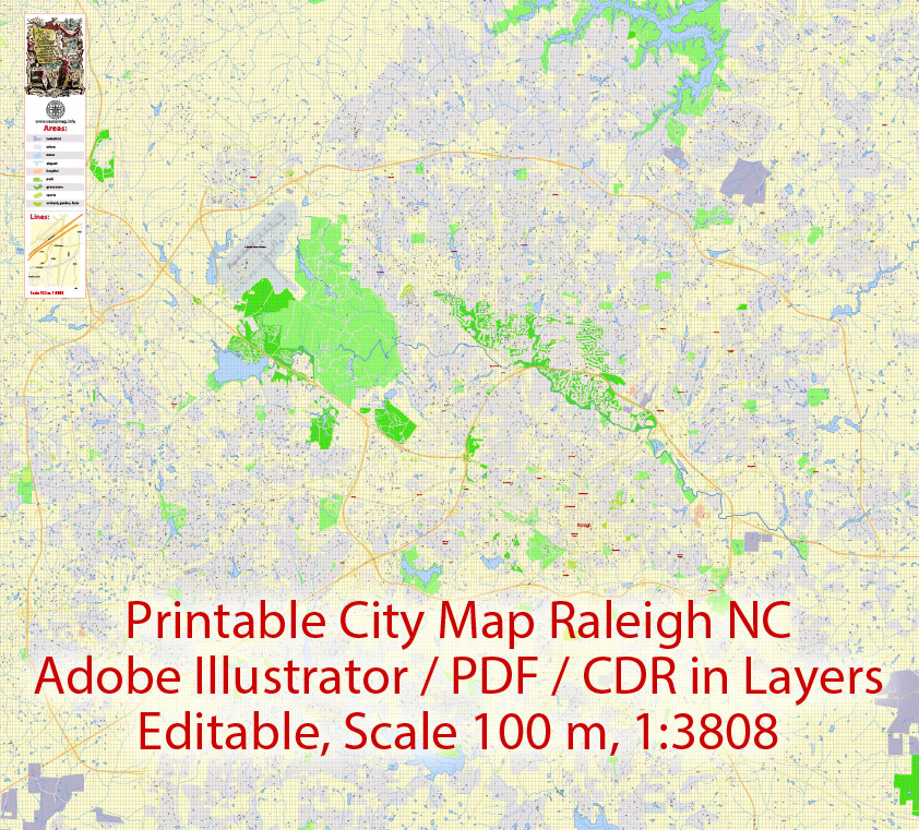 842x761 City Map Raleigh Vector Urban Plan Adobe Illustrator Editable