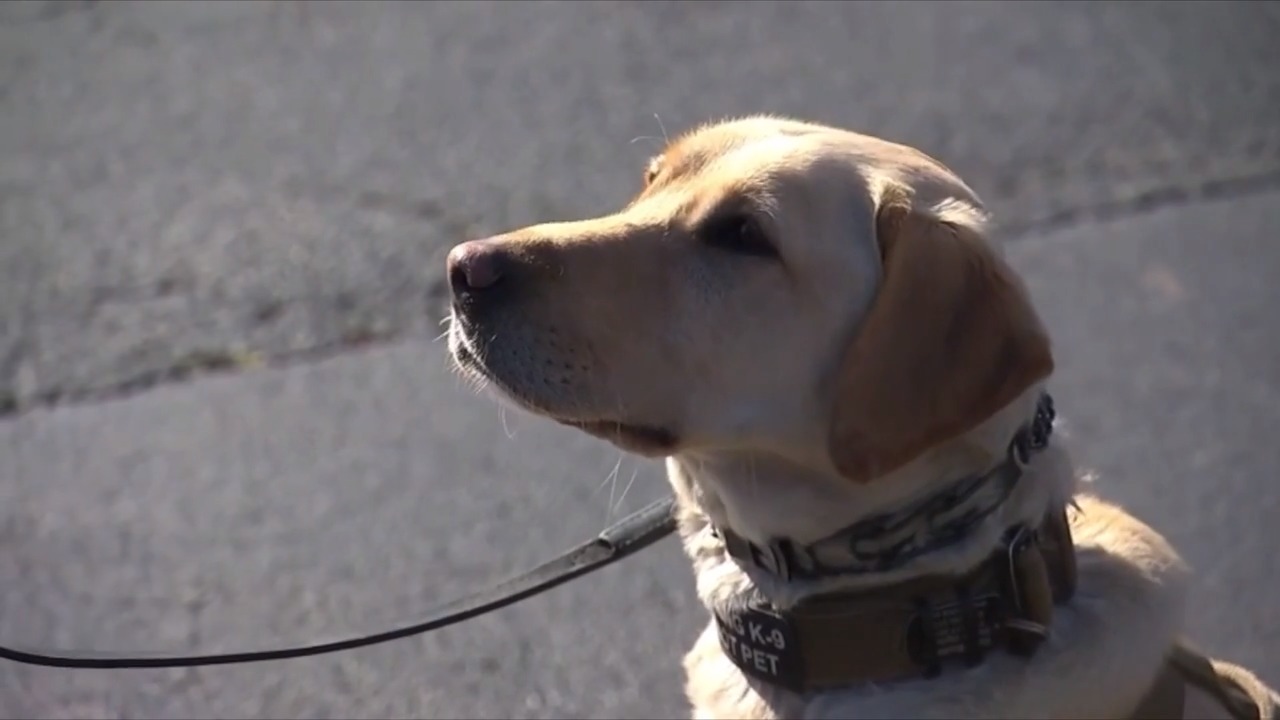 1280x720 Super Bowl Raleigh K And Apex Drones Watching Atlanta Crowds