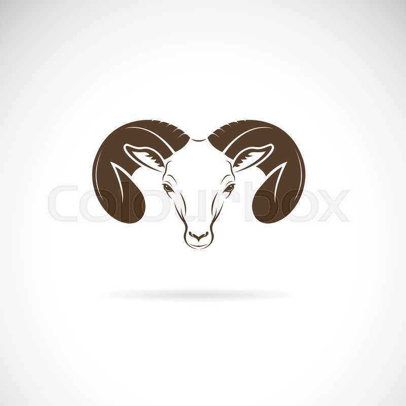 800x800 Vector Of Ram Head Or Mountain Sheep Stock Vector Colourbox