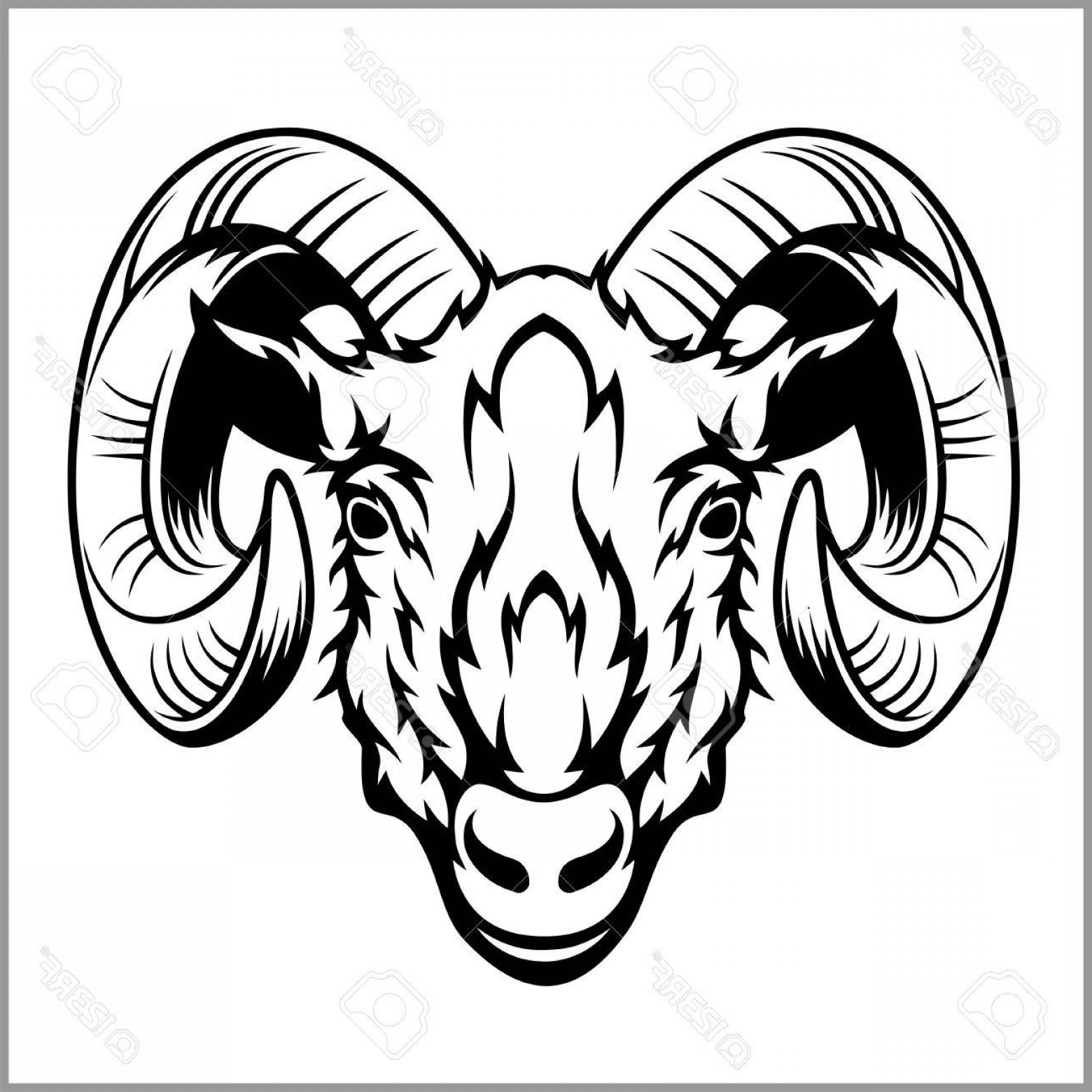 1560x1560 Photostock Vector Ram Head Logo Or Icon In Black And White This Is