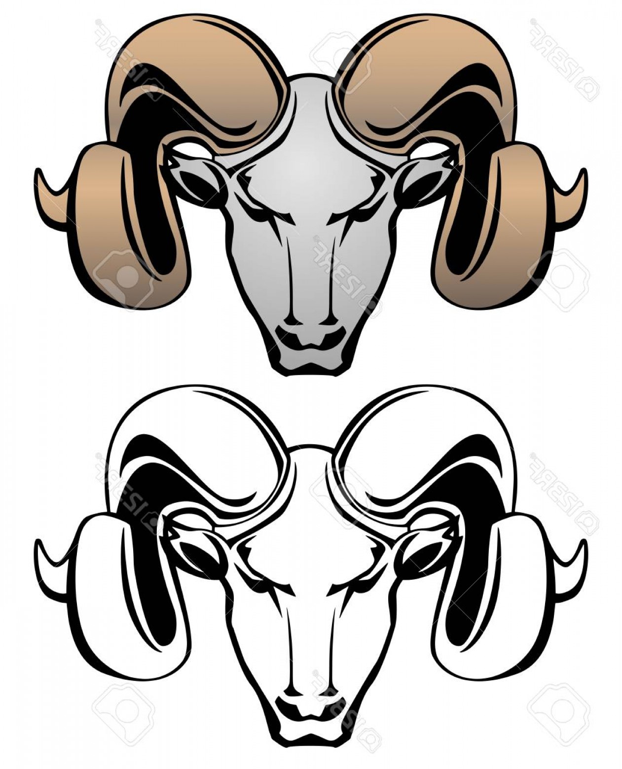 1261x1560 Photostock Vector Ram Head Vector Graphic Illustration Soidergi