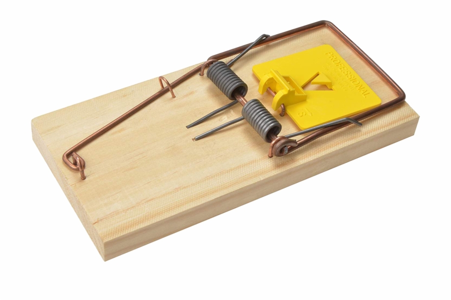 920x612 Trap Vector Rat