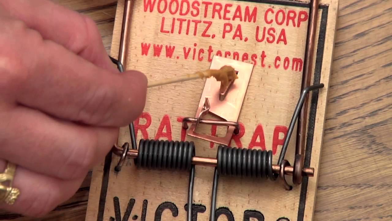 1280x720 Victor Metal Pedal Rat Trap Instructional Video