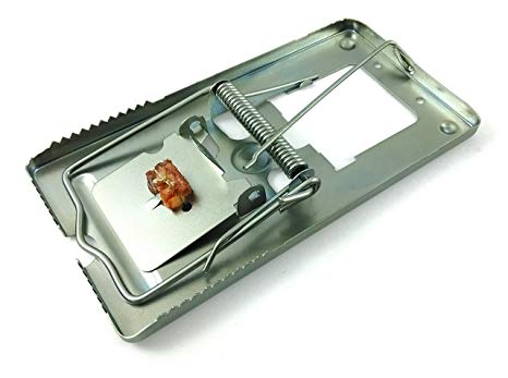 466x347 Pack Of Classic Metal Rat Traps Fully