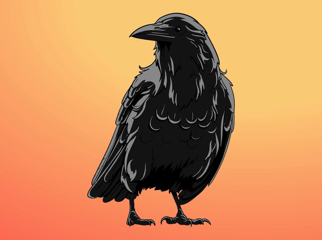 1024x765 Raven Vector Art Graphics