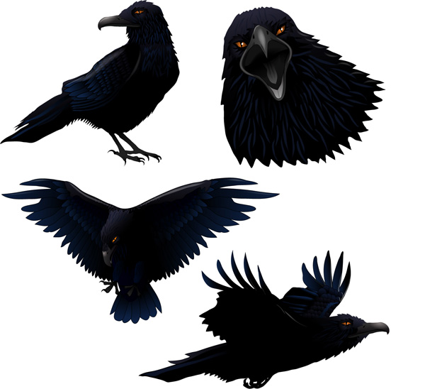 600x548 Raven Vector Free Download