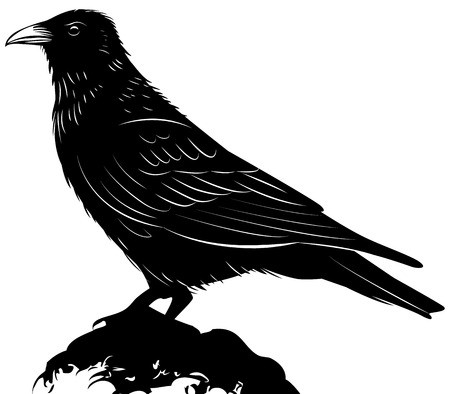 450x394 Black Vector Raven Isolated On White Background Royalty Free