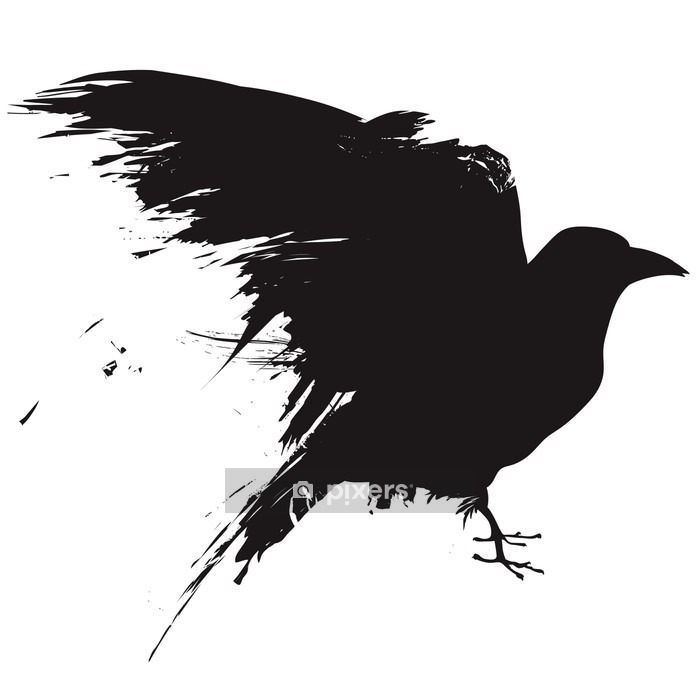 Vector Raven at Vectorified.com | Collection of Vector Raven free for ...