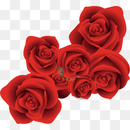 Vector Red Rose