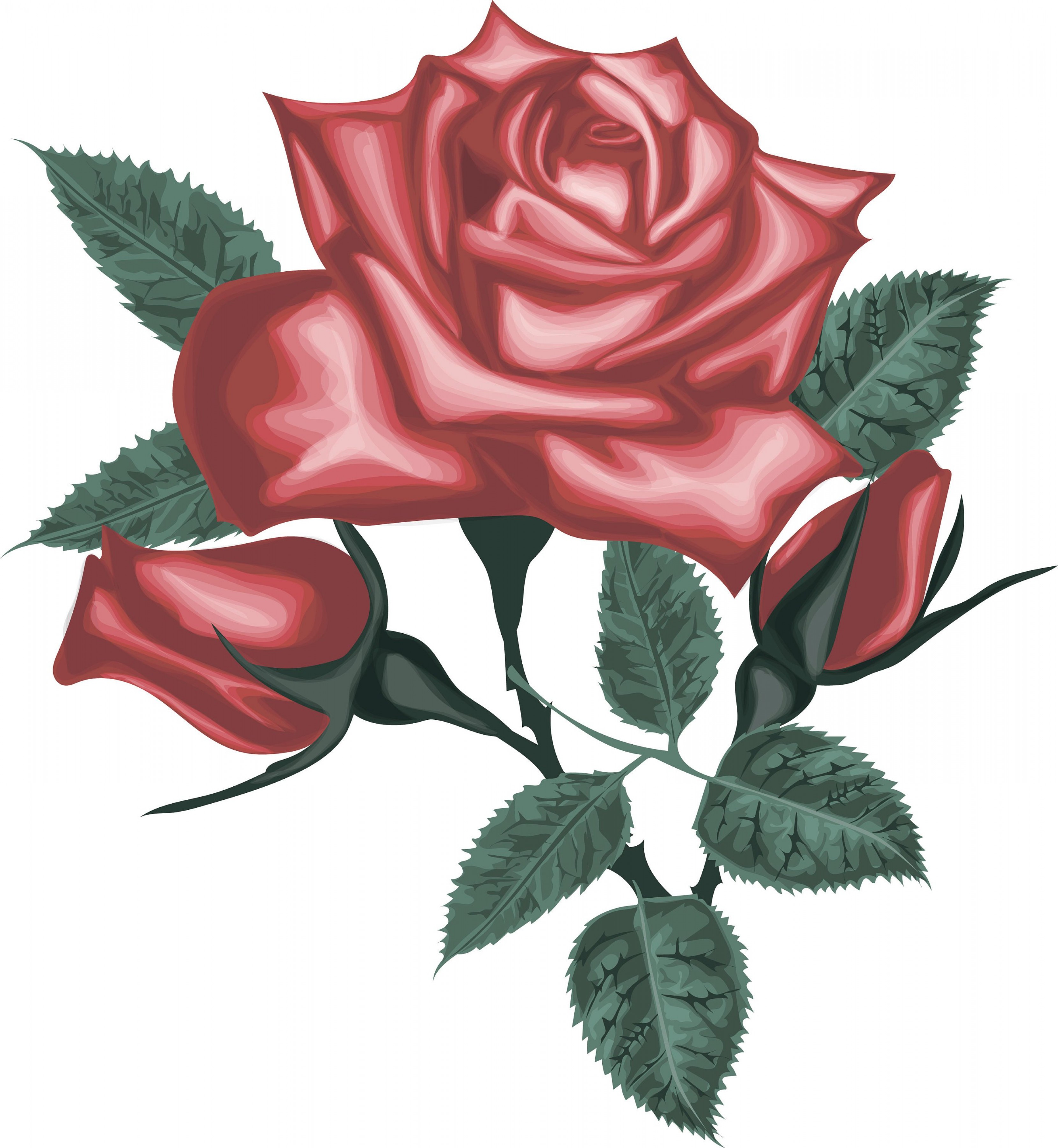 Rose Vector Graphics Lamaison 3320x3600 Rose Vector Graphics Lamaison