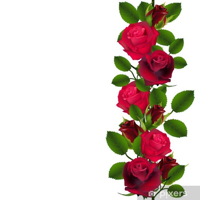 Seamless Vector Red Roses Pattern Vertical Wall Mural Pixers 700x700 Seamless Vector Red Roses Pattern Vertical Wall Mural Pixers