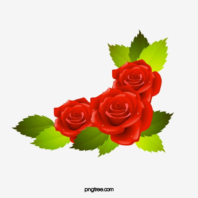 Vector Red Rose at Vectorified.com | Collection of Vector Red Rose free ...