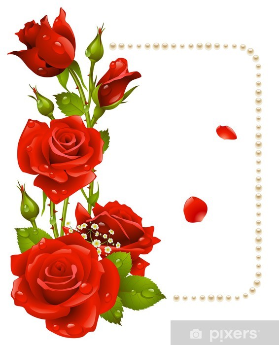 Vector Red Rose And Pearls Frame Wall Mural We Live 566x700 Vector Red Rose And Pearls Frame Wall Mural We Live