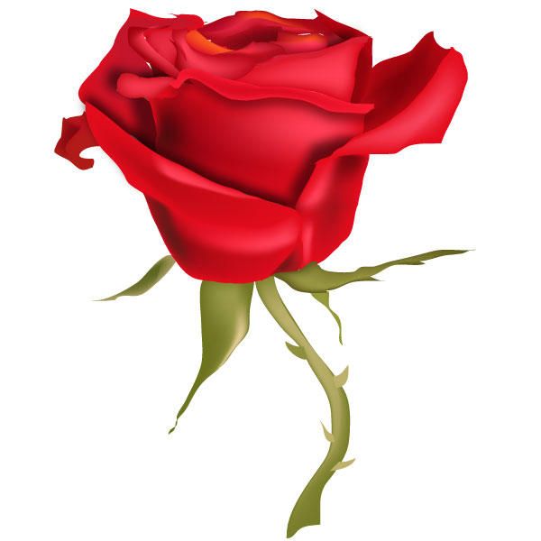 Red Rose Flower Vector Art Free Valentine's Day Vector Red 600x600 Red Rose Flower Vector Art Free Valentine's Day Vector Red
