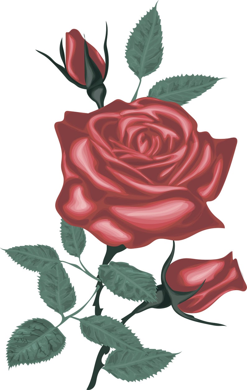 Red Rose Vector Vector Red Roses Digital Rose Rose Clipart Etsy 794x1253 Red Rose Vector Vector Red Roses Digital Rose Rose Clipart Etsy
