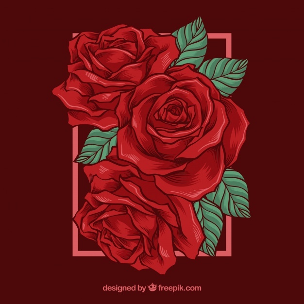 Red Rose Vectors, Photos And Free Download 626x626 Red Rose Vectors, Photos And Free Download