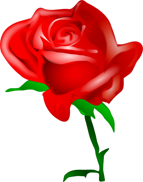 Red Rose Clip Art 468x595 Red Rose Clip Art