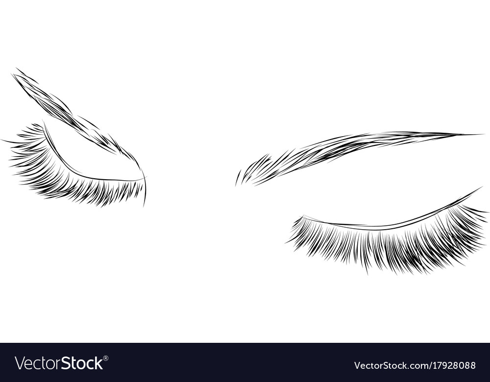 1000x780 Closed Eyelashes Drawing Vector Reference Ideas Eyes Long