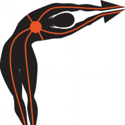 256x256 Vector Rehab