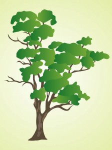 224x300 Vector Tree Community Foundation Of Western Nevada