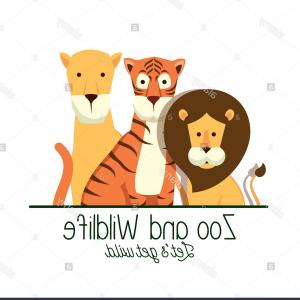 300x300 Lion With Tiger And Lion In The Safari Reserve Vector Illustration