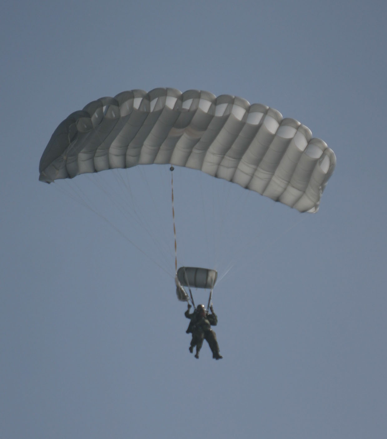 1240x1408 Vector Reserve